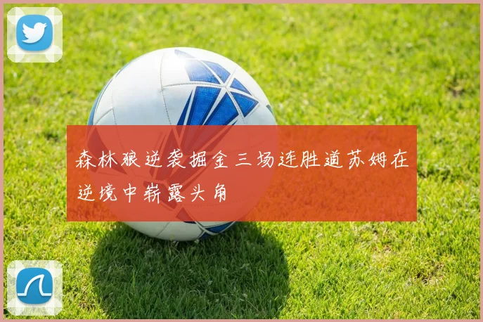 森林狼逆袭掘金三场连胜道苏姆在逆境中崭露头角