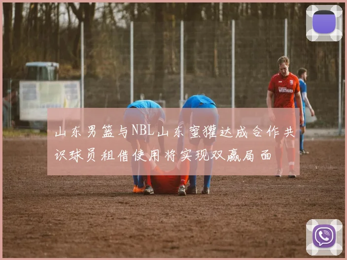 山东男篮与NBL山东蜜獾达成合作共识球员租借使用将实现双赢局面