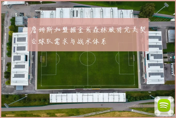詹姆斯加盟掘金或森林狼将完美契合球队需求与战术体系